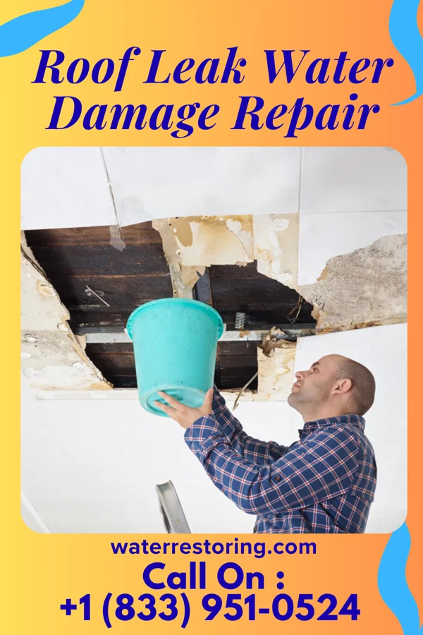 Roof Leak Water Damage Repair in York, SC