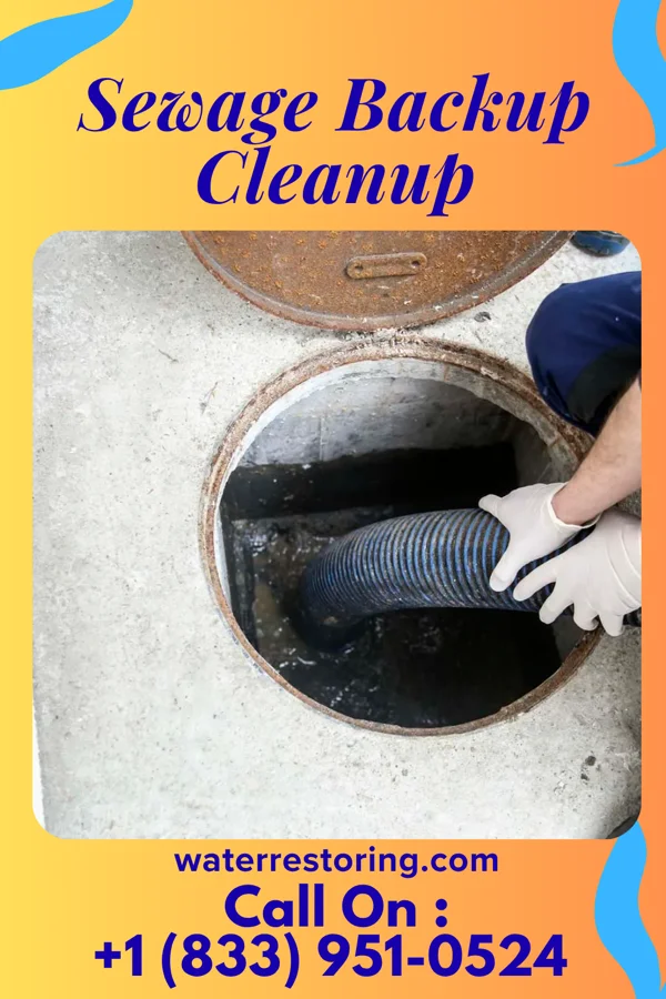 Sewage Backup Cleanup in York, SC