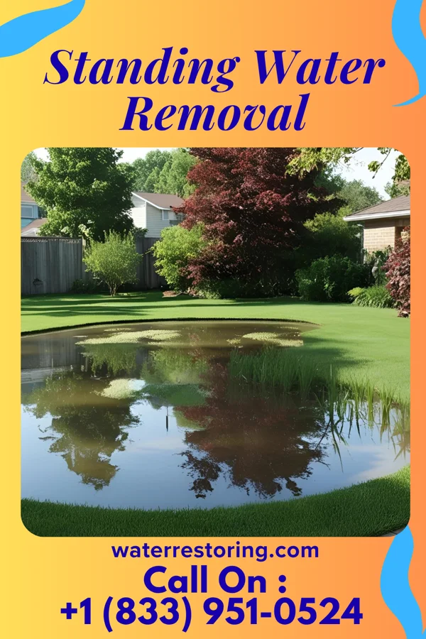 Standing Water Removal in York, SC